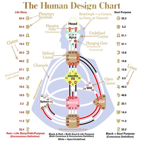 chanel 47 40 human design|human design channels explained.